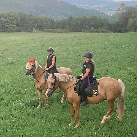 V Karavanu Camping Bzany